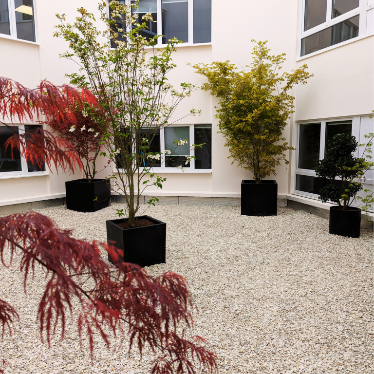 Végétation patio